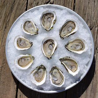 Mystic River Oyster Fest