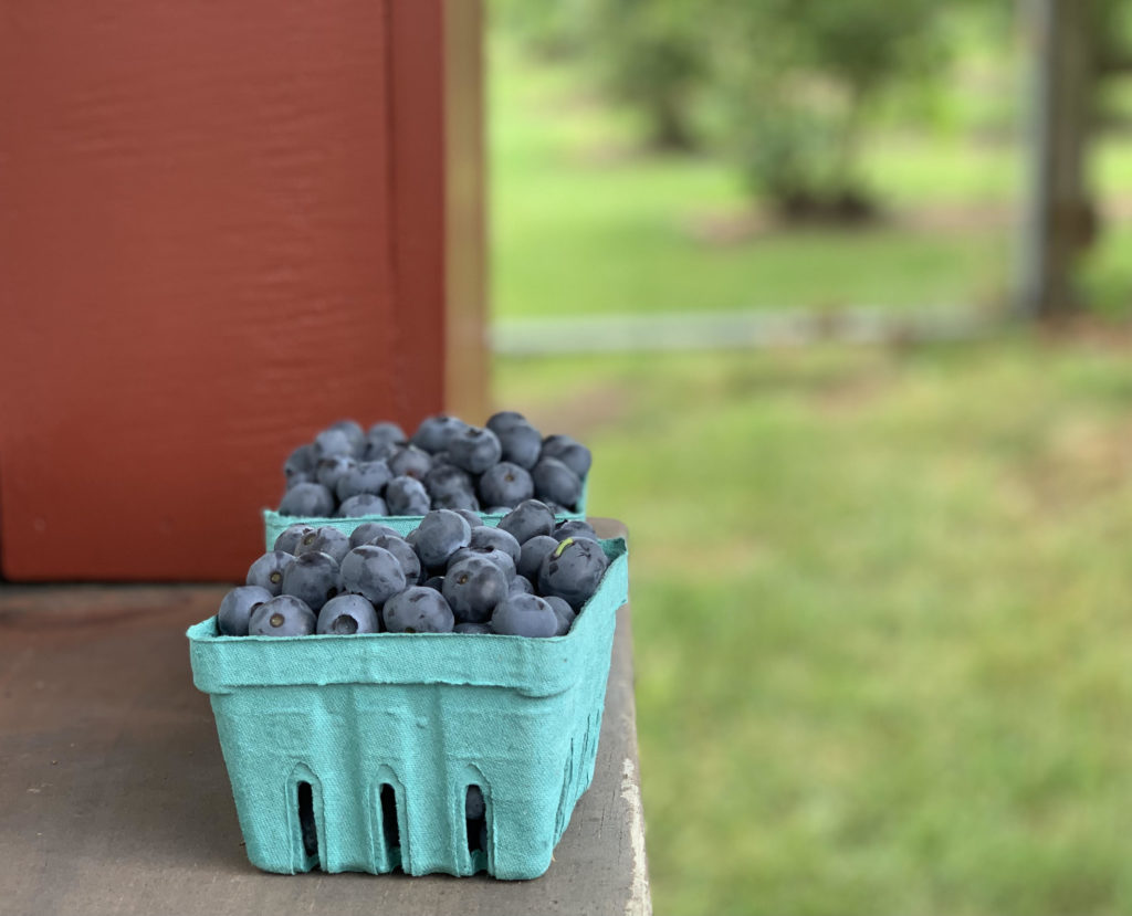 Holmberg Orchards Gales Ferry CT